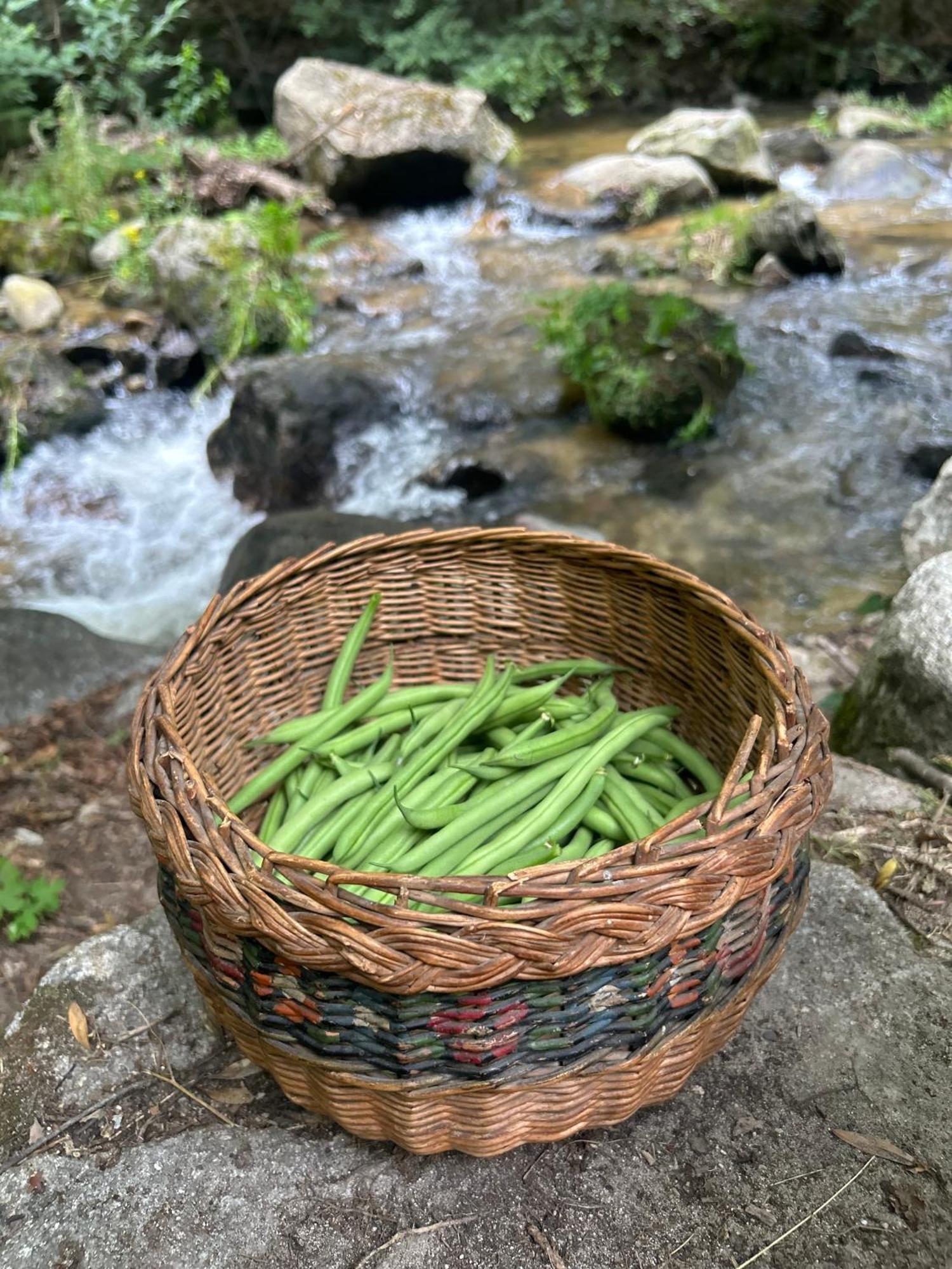 Notre-Dame D'Escouloubre Sources D'Eaux Chaudes Privees Et Sauna 外观 照片